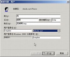 从零起步 菜鸟网管实战VPN配置与故障排除指南